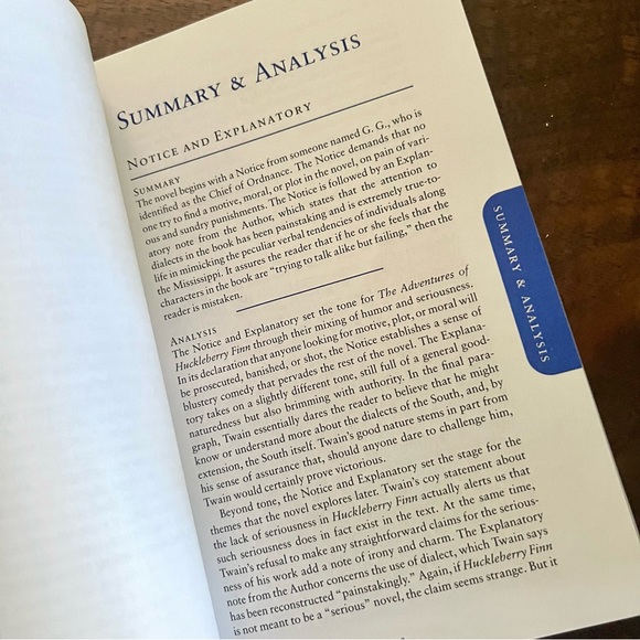 The Adventures Of Huckleberry Finn (Sparknotes Literature Guide) - Picture 2 of 3